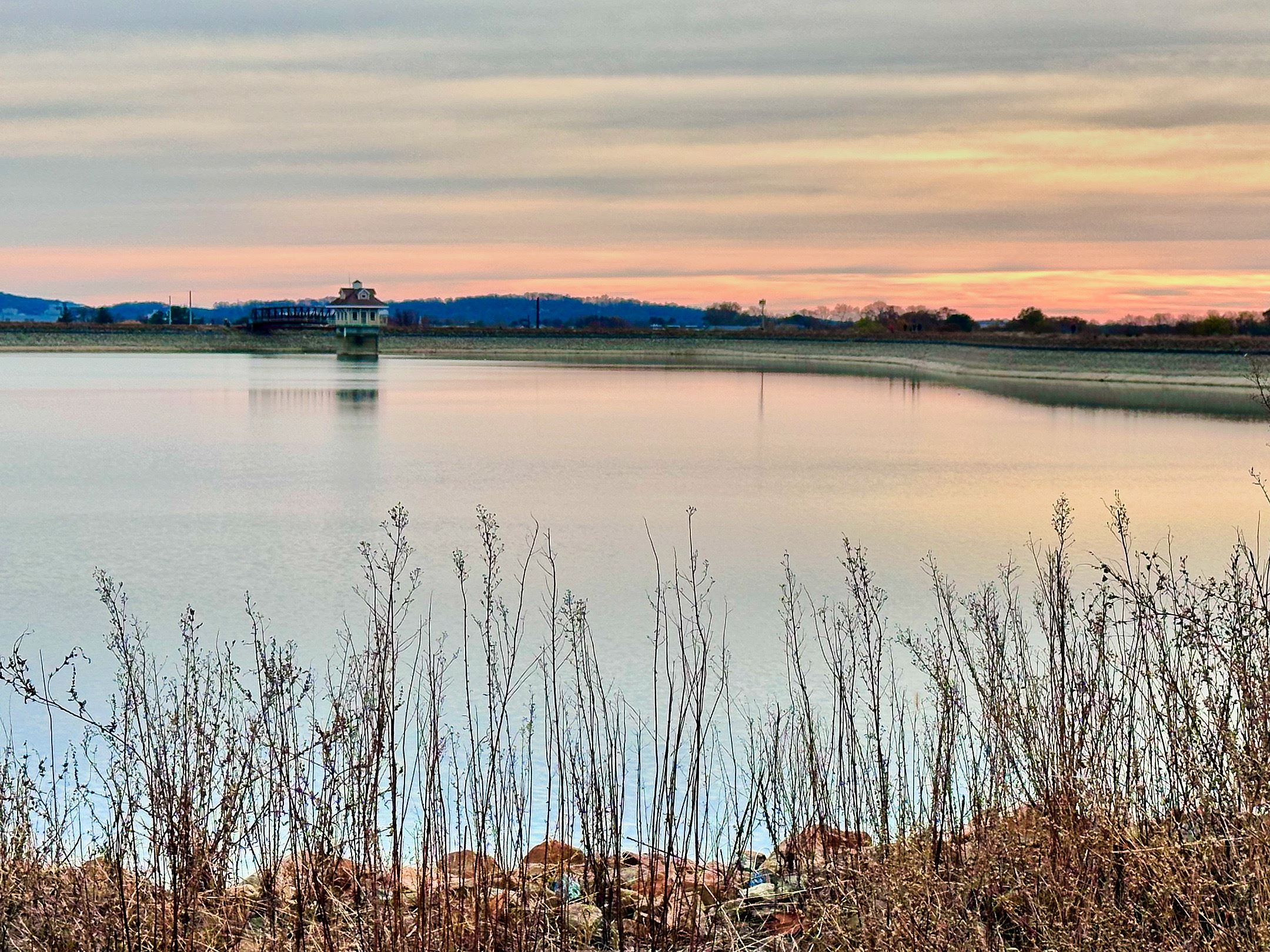 Rhea Narciso_Silver Lining_Reservoir_11-17-24