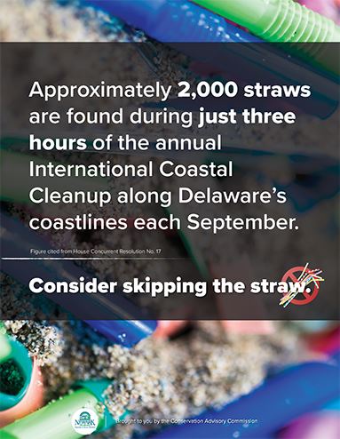 Beach Straw Ad2-1 Opens in new window