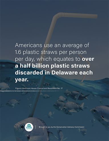 Ocean Straw Ad3-1 Opens in new window